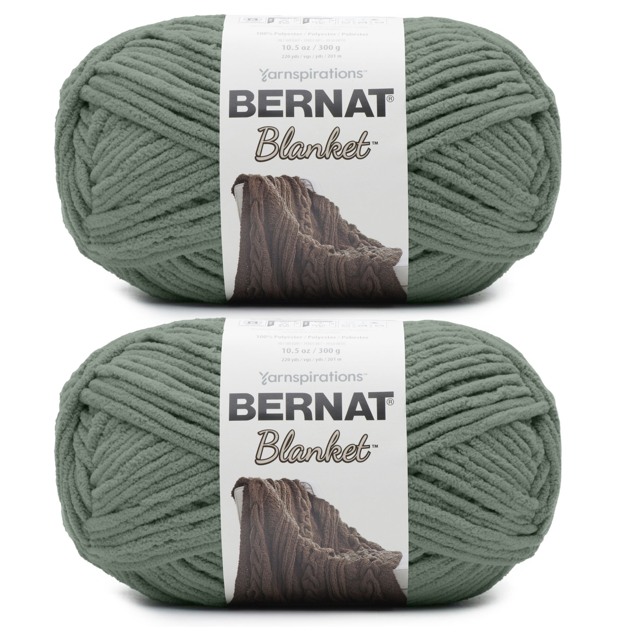 Bernat Blanket Big Ball Yarn 2/Pack-Smoky Green