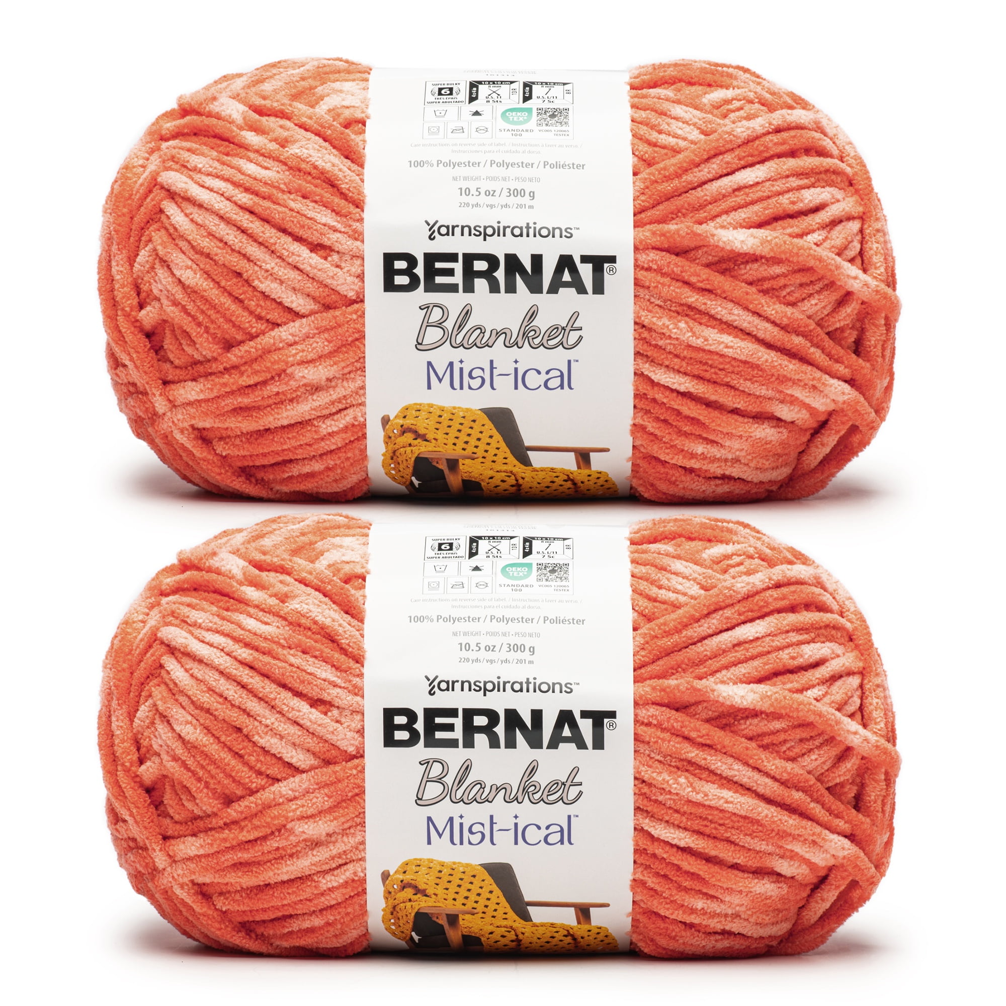 Bernat® Blanket Mist-ical™ Super Bulky Polyester Yarn, CactusFlower 10.5oz 220yd (2Pk)