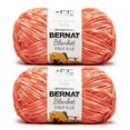 thumbnail image 1 of Bernat® Blanket Mist-ical™ Super Bulky Polyester Yarn, CactusFlower 10.5oz 220yd (2Pk), 1 of 4