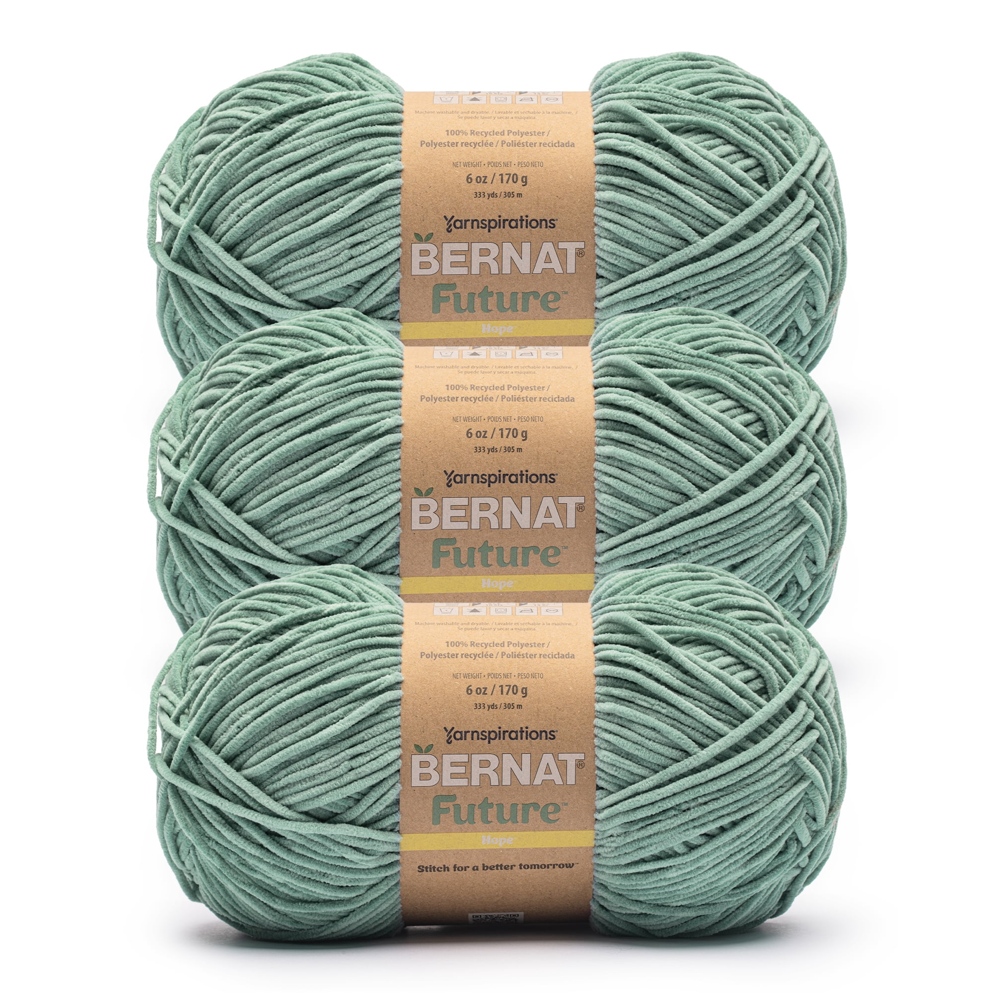 Bernat® Future™ #4 Worsted (Medium) Polyester Yarn, Teal Lake 6oz/170g 333 Yards (3 Pack)