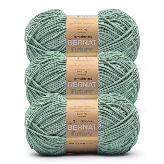 Bernat® Future™ #4 Worsted (Medium) Polyester Yarn, Teal Lake 6oz/170g 333 Yards (3 Pack)