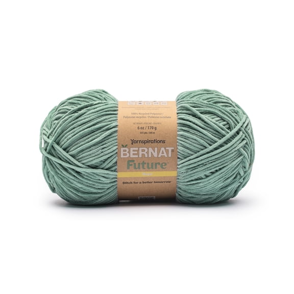 Bernat® Future™ #4 Worsted (Medium) Polyester Yarn, Teal Lake 6oz/170g 333 Yards