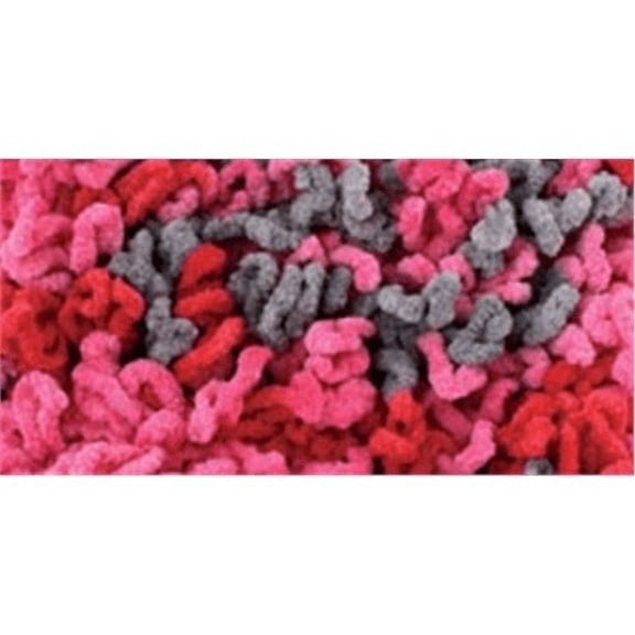 Bernat Gazoom Yarn - 27430 Rockin Rasberry