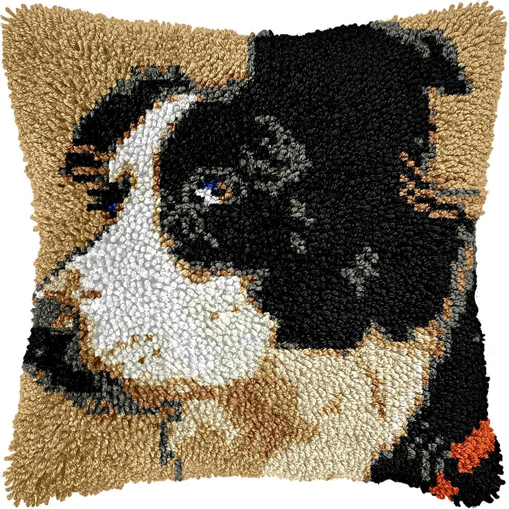 Bernes Mountain Dog Latch Hook Pillow Kits for DIY Handmade Throw Pillow Cushion Embroidery Latch Hooking Pillowcase Kits with Preprinted Canvas Crochet Yarn Kits 17''X 17''(g40)