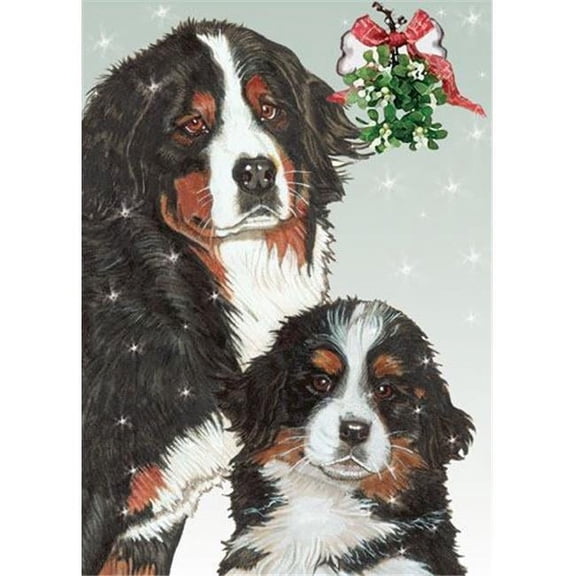 Bernese Holiday Boxed Cards