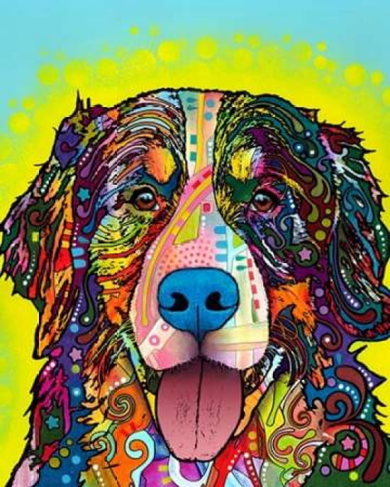 Bernese Mountain Canvas Art - Dean Russo (24 x 30)