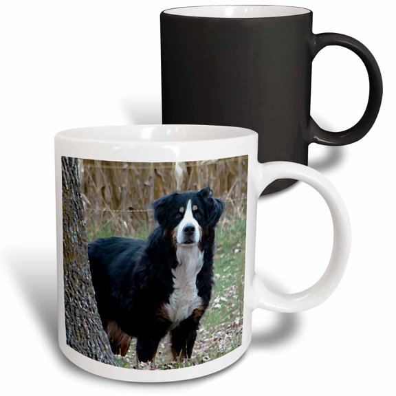 3drose, Bernese Mountain Dog, 11oz Magic Transforming Mug