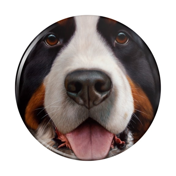 Bernese Mountain Dog Face Closeup Kitchen Refrigerator Locker Button Magnet