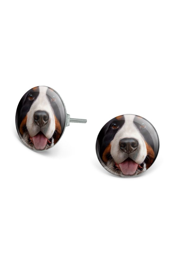 Bernese Mountain Dog Face Closeup Novelty Silver Plated Stud Earrings