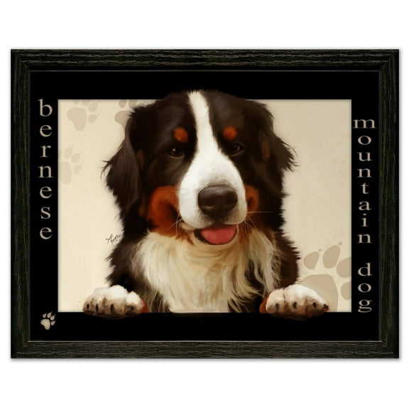 Bernese Mountain Dog by Scott Rogers Paws on the Picture Frame 13x10 Framed Art Print