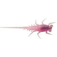 thumbnail image 1 of Bernie, 1 of 1