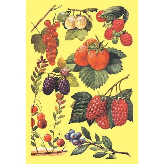 Berries-Fine Art Canvas Print (20" x 30")