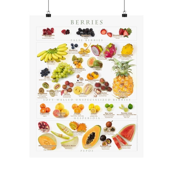Berries Fruit Chart Poster, Unframed Paper Poster 8x10in