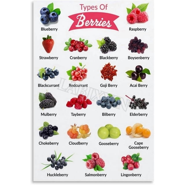 Berries Types Chart Guide Poster Health Fruit Kitchen Wall Art for ...