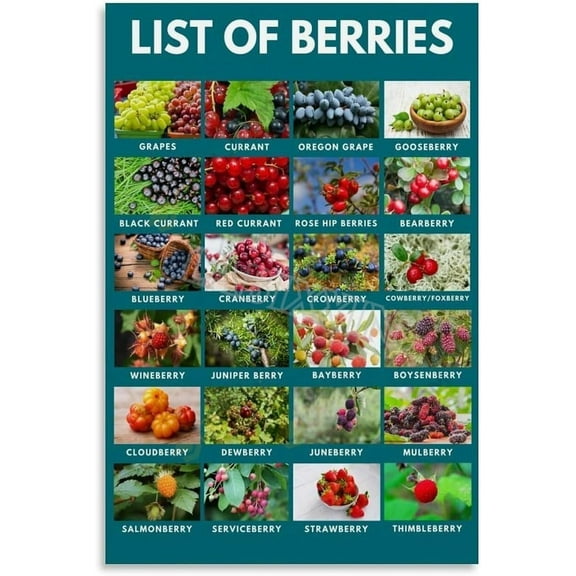 Berries Types Chart Guide Poster Health Fruit Kitchen Wall Art for Bedroom Living Room Decor