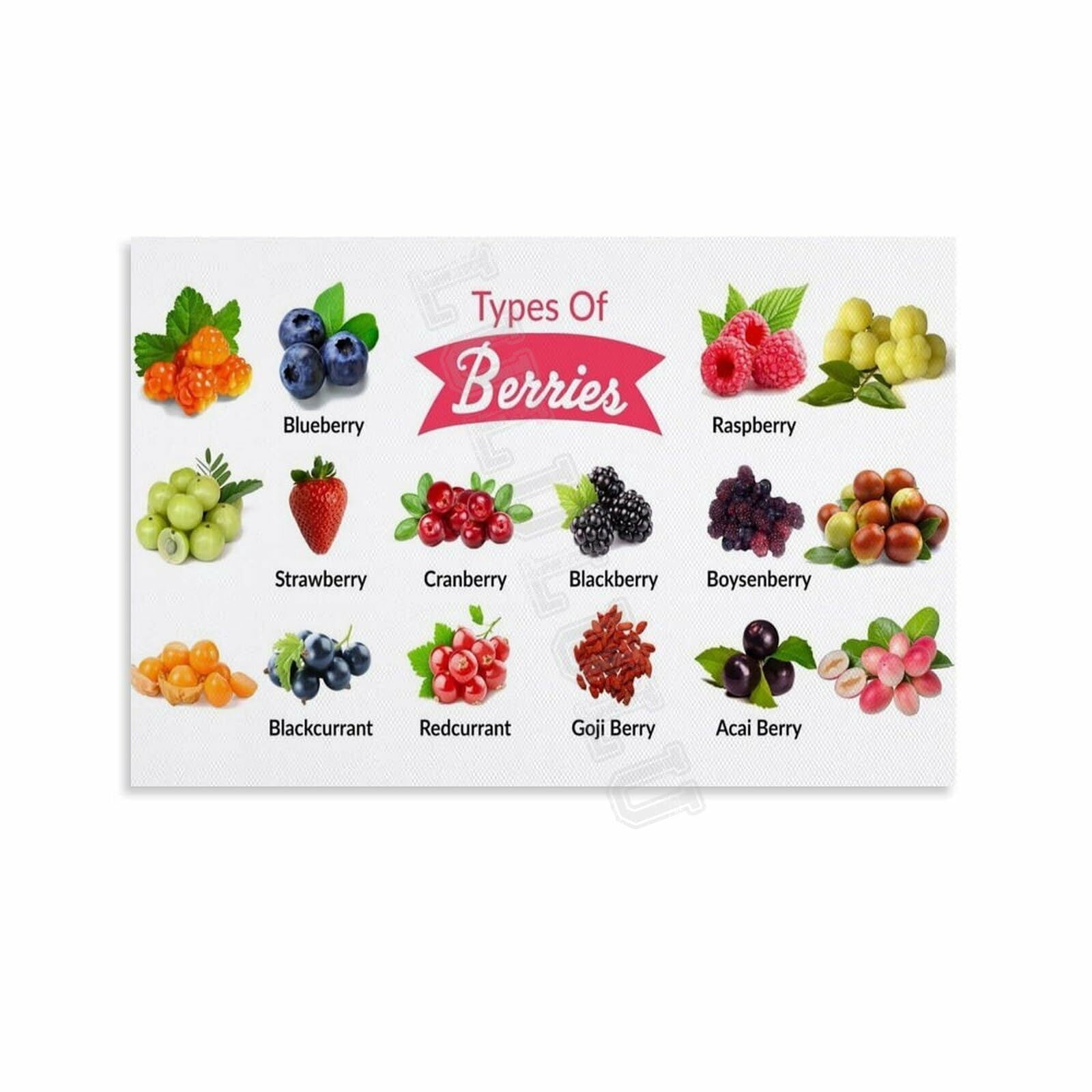 Berries Types Chart Guide Poster Health Kitchen Wall Art (10) Canvas ...