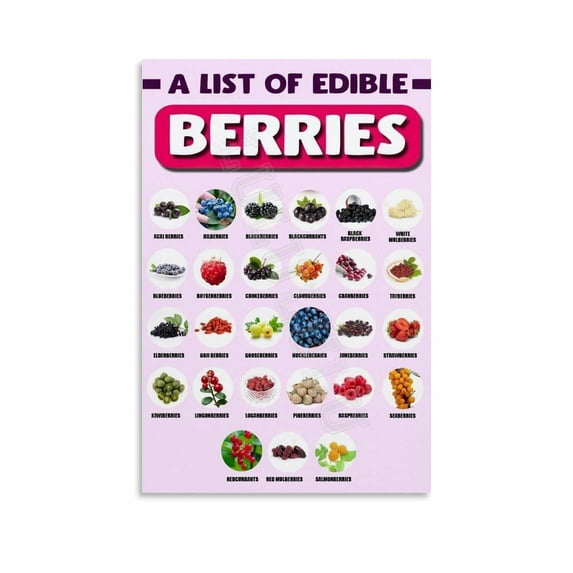 Berries Types Chart Guide Poster Health Kitchen Wall Art (11) Canvas ...