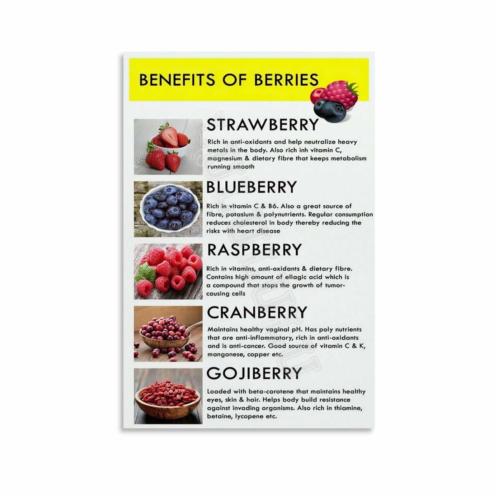 Berries Types Chart Guide Poster Health Kitchen Wall Art (13) Canvas ...