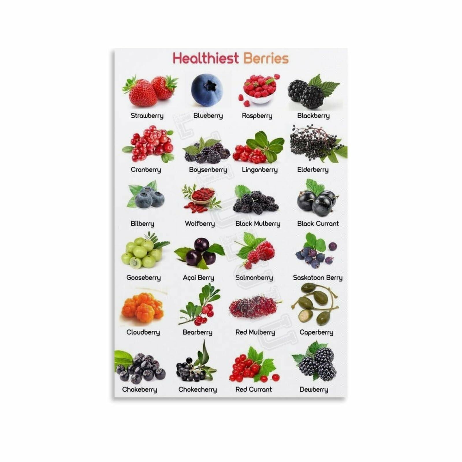 Berries Types Chart Guide Poster Health Kitchen Wall Art (2) Canvas ...