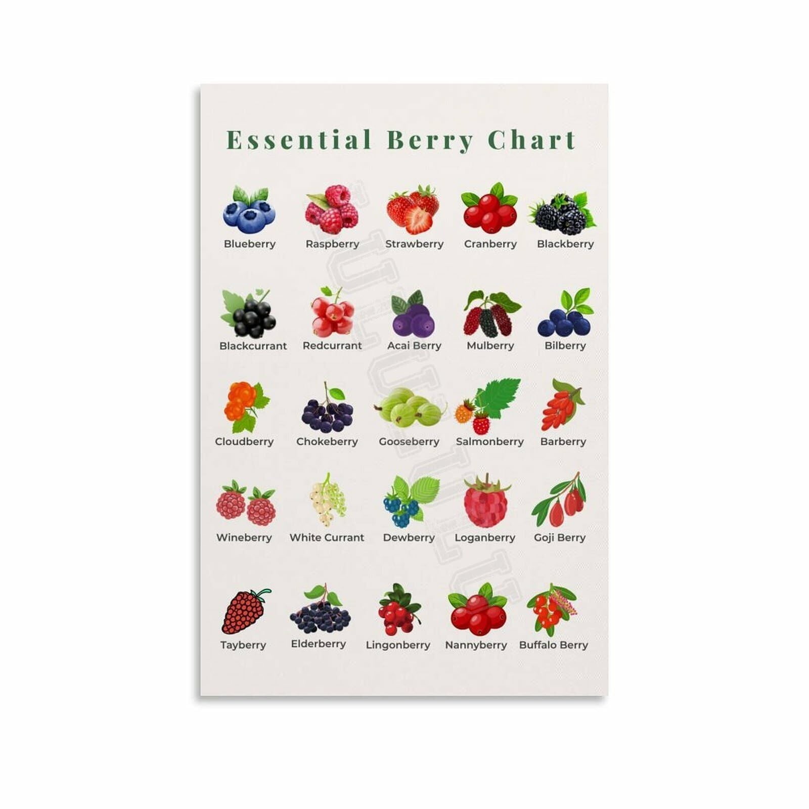 Berries Types Chart Guide Poster Health Kitchen Wall Art (5) Canvas ...