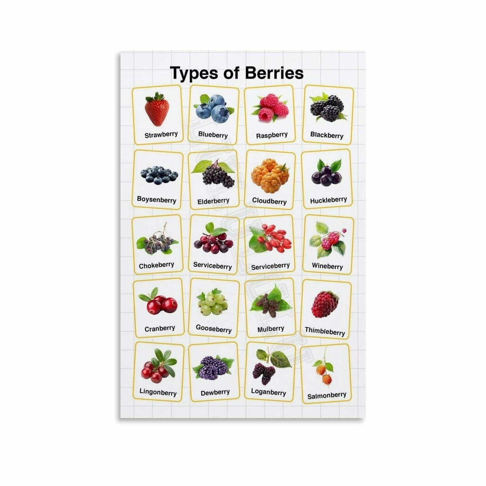 Berries Types Chart Guide Poster Health Kitchen Wall Art (6) Canvas ...