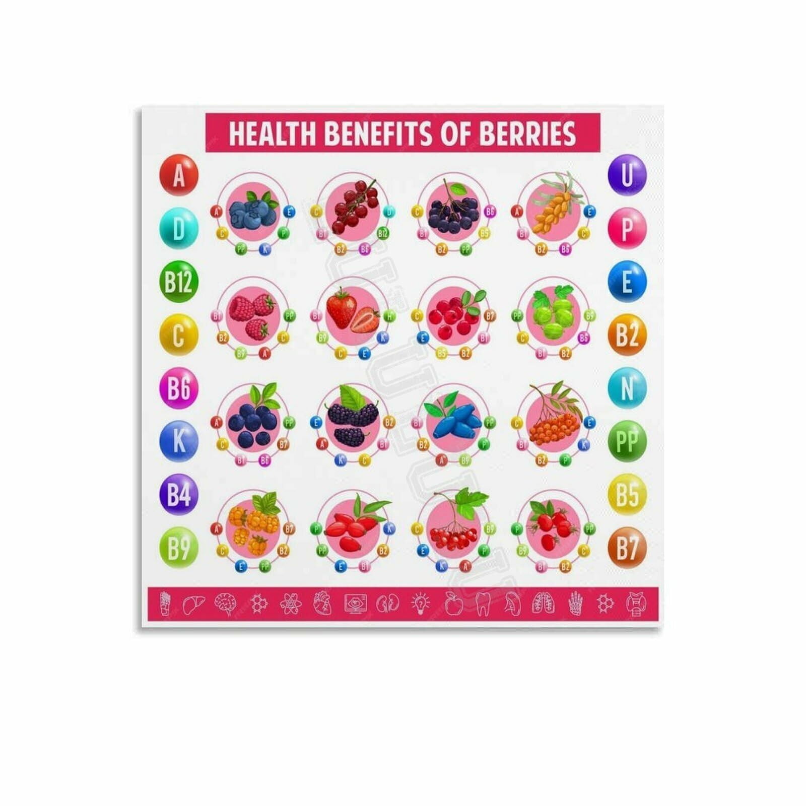 Berries Types Chart Guide Poster Health Kitchen Wall Art (9) Canvas ...