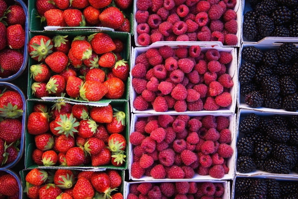 Berries in boxes at a food marketSault vaucluse provence france Canvas Art - Carlos Sanchez Pereyra  Design Pics (19 x 12)
