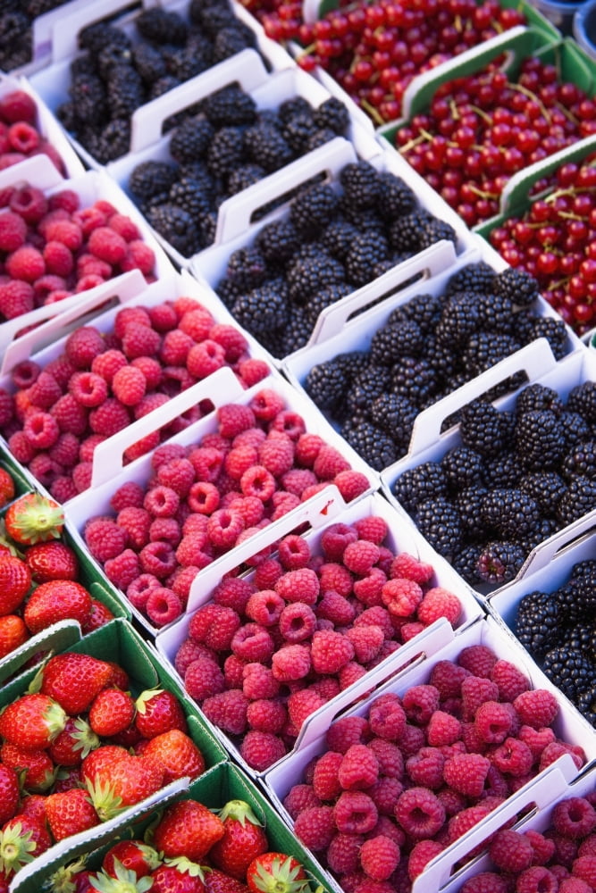 Berries in boxes at a food marketSault vaucluse provence france Canvas Art - Carlos Sanchez Pereyra Design Pics (24 x 38)