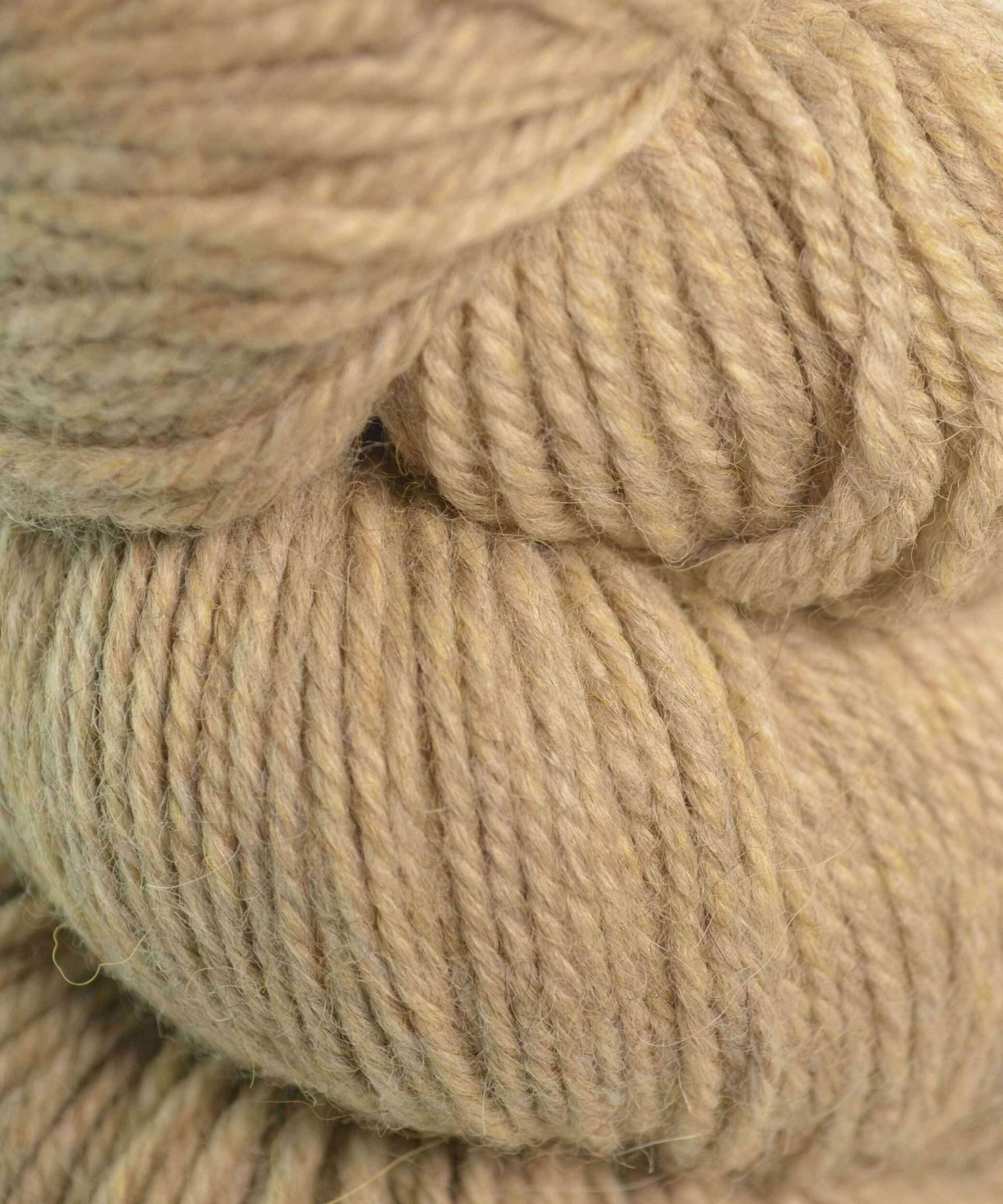 Barley (# 62189)