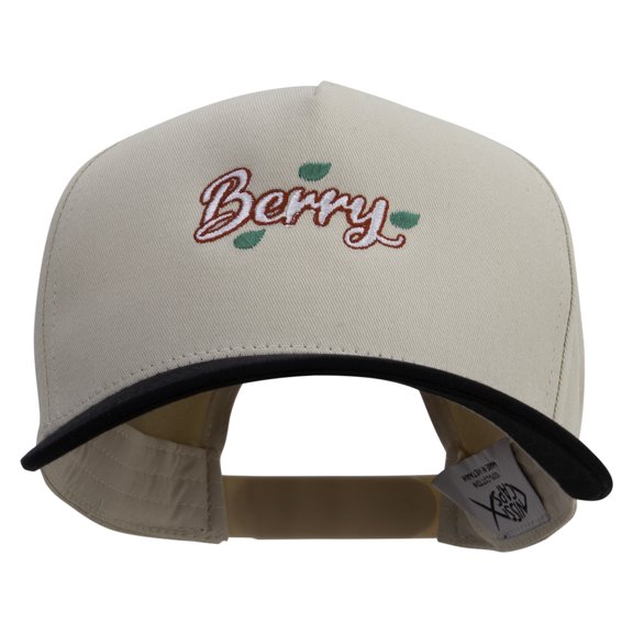 Berry Embroidered Premium Pro Style 5 Panels Cap - Black Stone OSFM