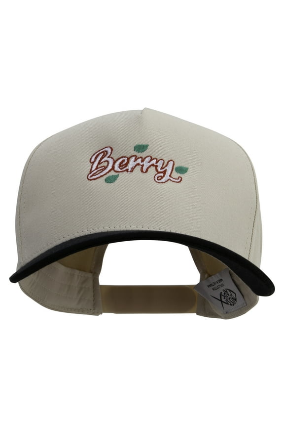 Berry Embroidered Premium Pro Style 5 Panels Cap - Black Stone OSFM