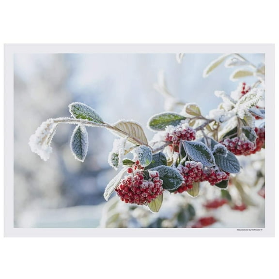 Berry Frost Winter Paper Placemats - 10in. X 14in. - 25 Pack (702079)