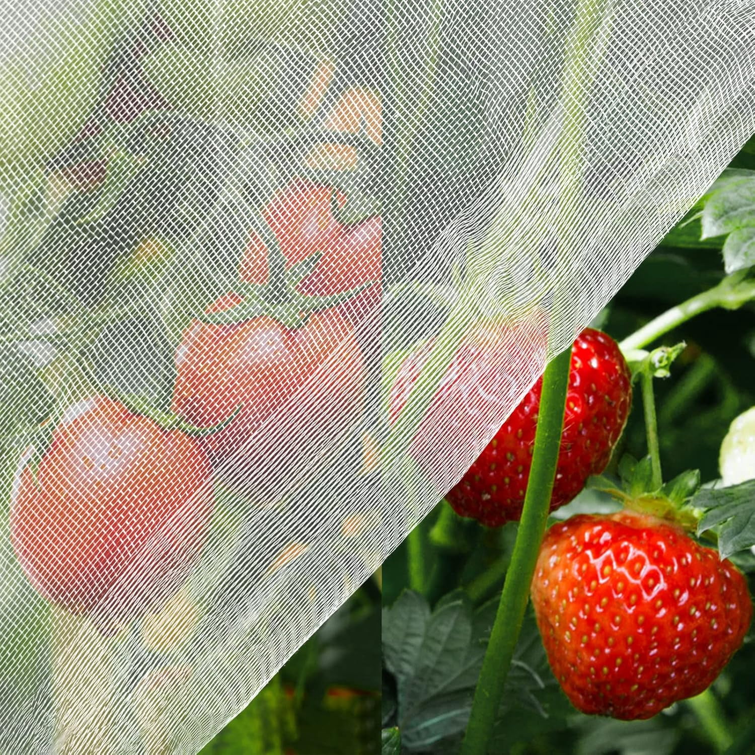 Berry Netting for Birds - Heavy Duty Garden Netting Pest Barrier ...