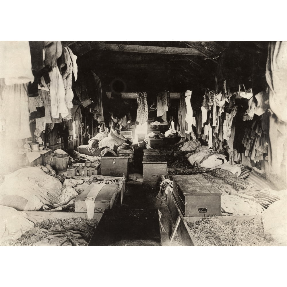 Berry Picker Shacks C1909. Ninterior Of A Crowded Shack Occupied By ...