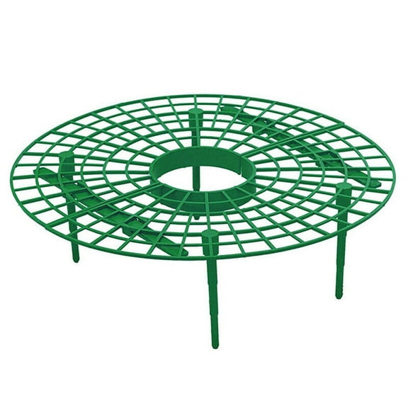 Berry Theme Patterned Artwork Print Faux Botanical Support Stakes 30 cm Diameter Polymer Garden Lattice Panel for Elevating Fruit Off Ground to Stop Rot