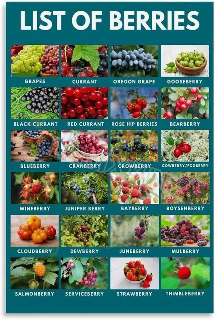 Berry Varieties Identification Chart Healthy Eating Fruit Guide ...