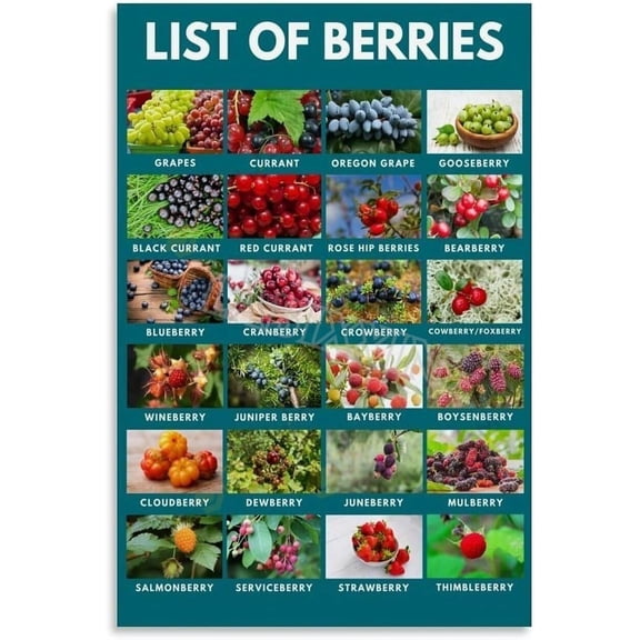 Berry Varieties Identification Chart Healthy Eating Fruit Guide Educational Kitchen Poster for Home Living Room Bedroom Decor poster