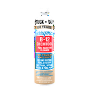 Berryman Products, 0121 B-12 Chemtool Fuel Injector Cleaner for Trucks & SUV's, 21 oz. Pour Can