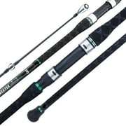 Berrypro Surf Spinning Rod IM8 Carbon Surf Fishing Rod 9/10/106/11/12/13311-Spinning-2pc