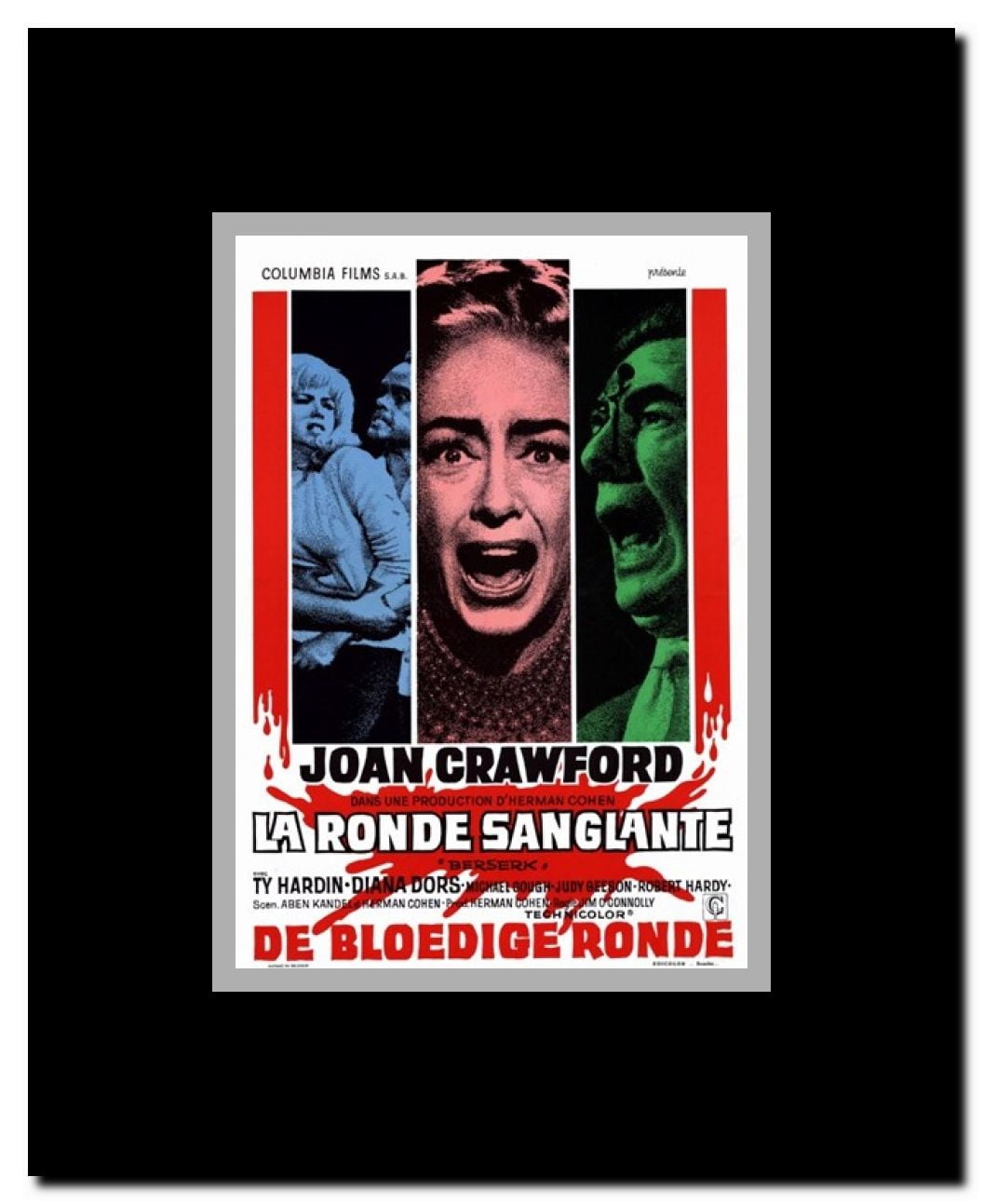 Berserk Framed Movie Poster