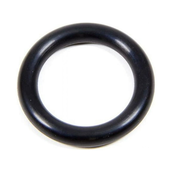Bert Transmissions OR2-318 O-Ring Large for 61K