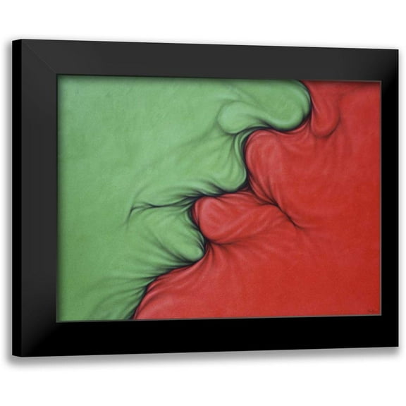 Bertani, Ernesto 14x11 Black Modern Framed Museum Art Print Titled - Complementarios