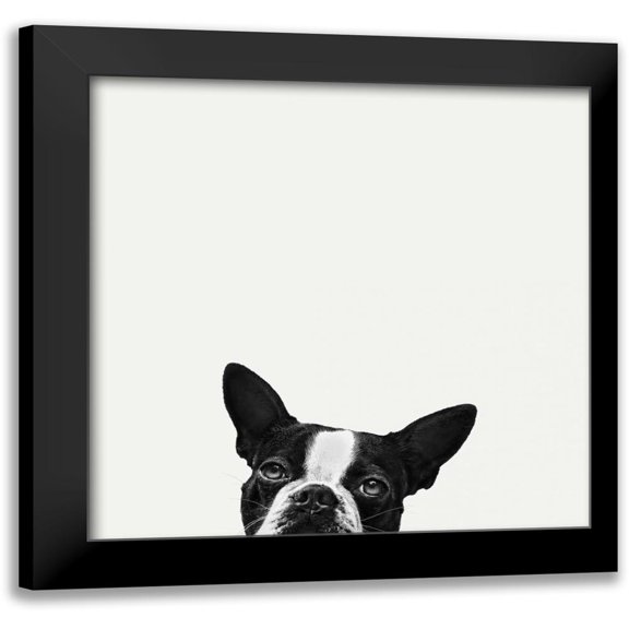 Bertelli, Jon 20x20 Black Modern Framed Museum Art Print Titled - Loyalty