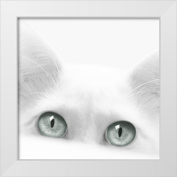 Bertelli, Jon 20x20 White Modern Wood Framed Museum Art Print Titled - Diva