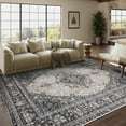 thumbnail image 1 of Berthmeer Vintage Traditional Non-slip Black Brown Area Rug, 5' x 7', 1 of 9