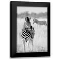 thumbnail image 1 of Bertsch, Hannes 11x14 Black Modern Framed Museum Art Print Titled - Zebra Bw, 1 of 5