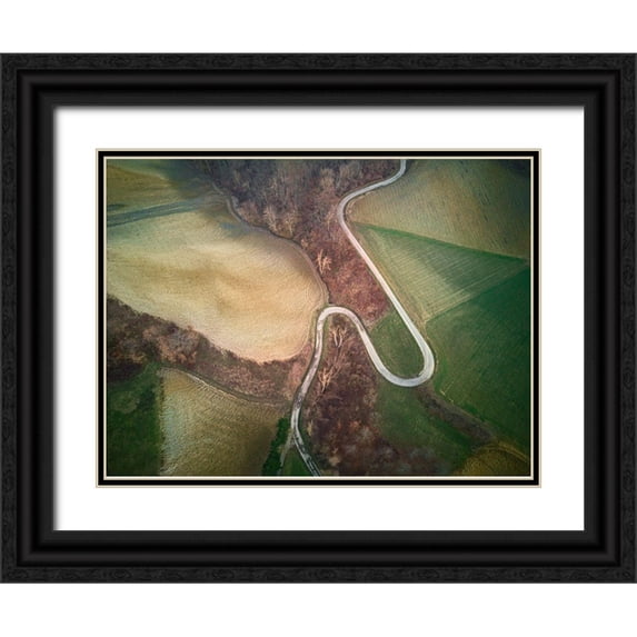 Bertusi, Ivan 18x14 Black Ornate Wood Framed with Double Matting Museum Art Print Titled - Anthropocene