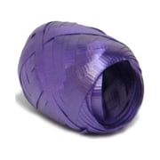 Berwick Offray Team Spirit Solid School Color 66 Football Plastic Curling Ribbon, Purple