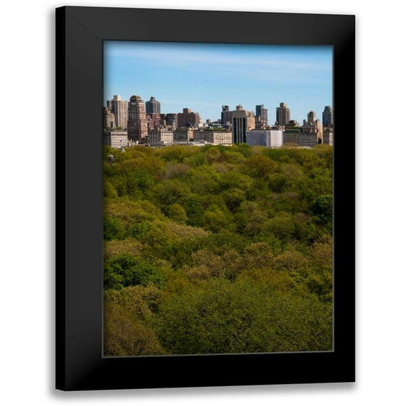 Berzel, Erin 11x14 Black Modern Framed Museum Art Print Titled - Central Park I