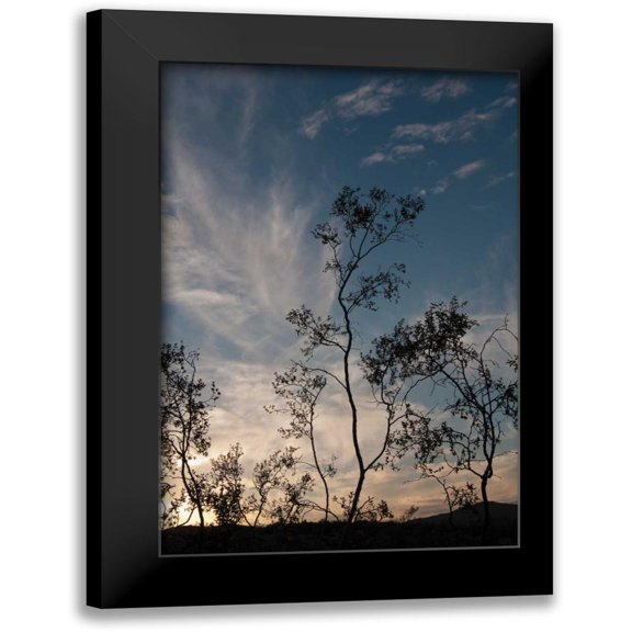 Berzel, Erin 11x14 Black Modern Framed Museum Art Print Titled - Sunset Silhouette III